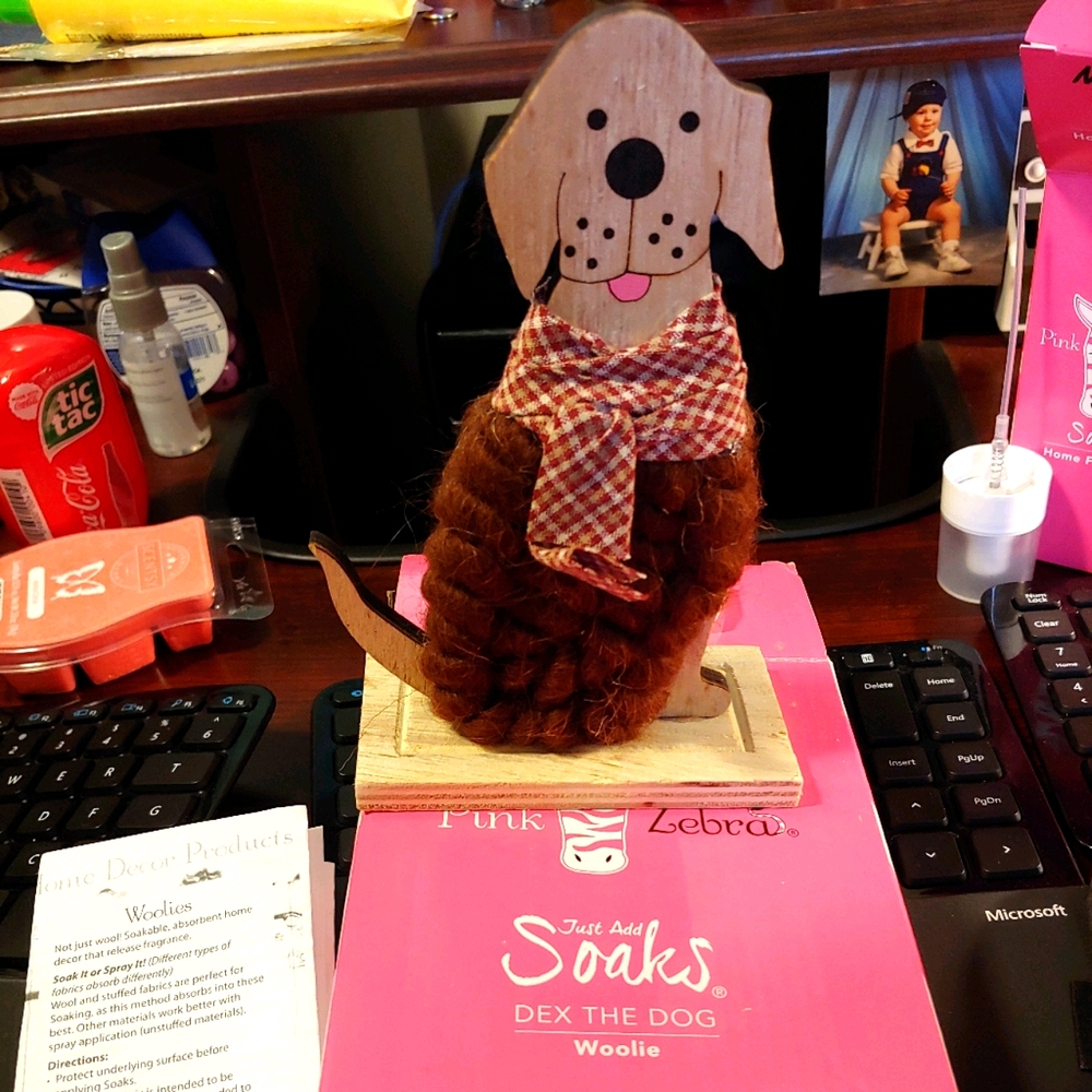 Pink Zebra Dex The Woolie